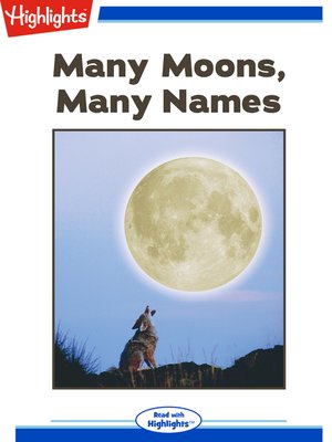 cover image of Many Moons Many Names